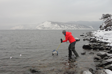 Минприроды нашло средства на выяснение причин ухудшения воды Байкала