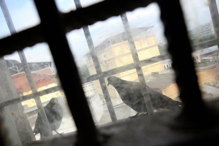 Осужденного за изнасилования забили до смерти в читинском СИЗО 