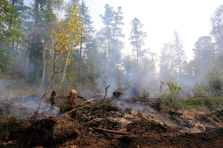 Половина сибирских регионов не готова к пожароопасному сезону