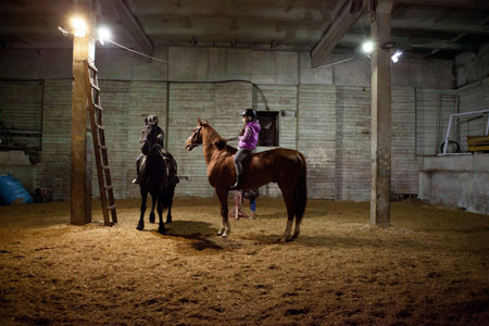 Кто за рейдера: новосибирскую конную школу выселяют на улицу из незаконно занятого здания 