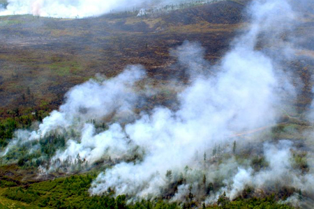 Площадь лесных пожаров в Забайкалье выросла в 15 раз