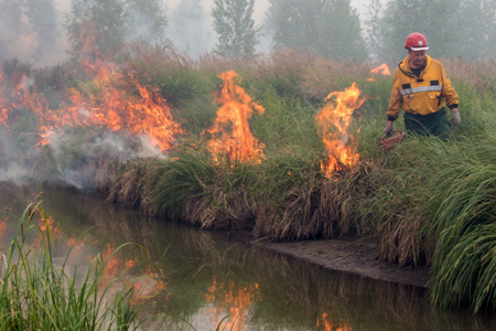 Лесные пожары в Забайкалье удалось потушить