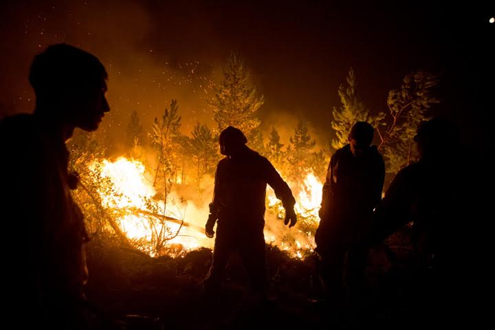 Более 5 млн сибиряков могут пострадать от природных пожаров 