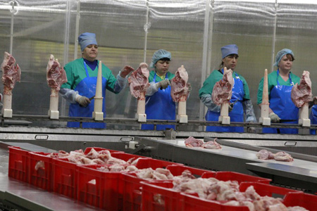 «Енисейагросоюз» вложит 800 млн в производство мяса индейки в Красноярском крае 