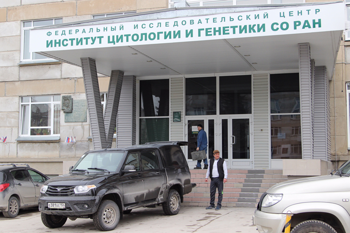 Как описторхи присосались к госбюджету: «КП» об опасности обмана в сибирской науке