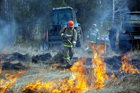 Противопожарный режим введен в Новосибирской области