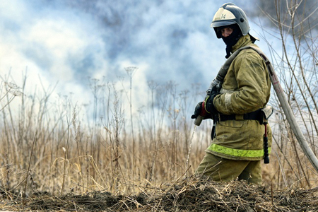 Более 100 га леса загорелось в Бурятии