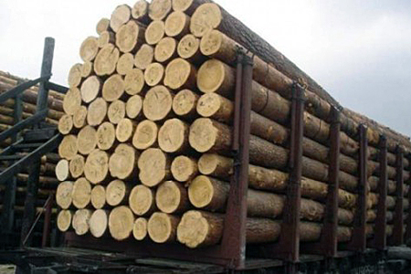 Новосибирский бизнесмен незаконно вывез в Китай лес на 1 млрд