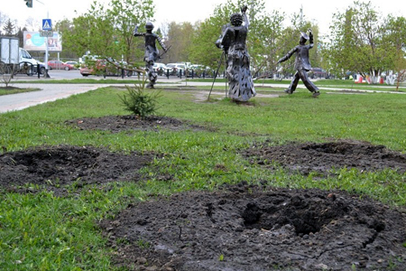 Высаженный ко Дню Победы лес похитили в Барнауле