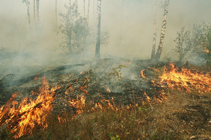 Режим ЧС введен в Бурятии и Забайкалье из-за лесных пожаров