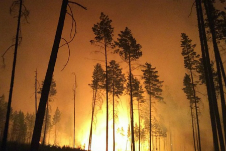 Власти возложили вину за половину пожаров в Сибири на местное население