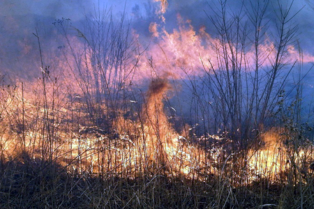 Площадь пожаров в Бурятии и Забайкалье превысила 33 тыс. га