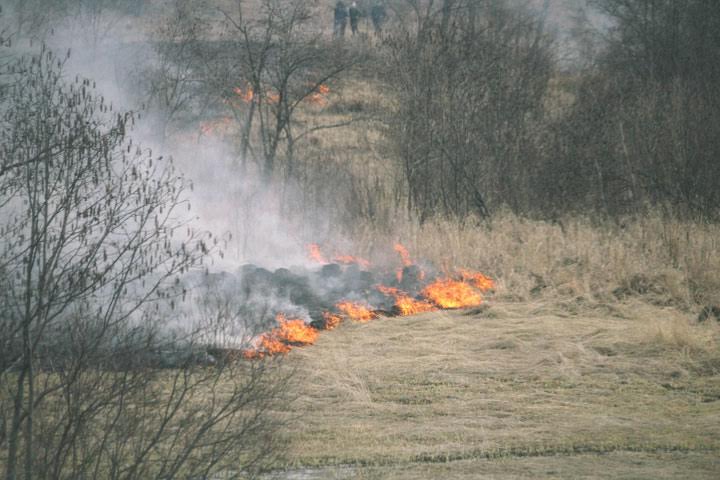 Возгорание торфа привело к пожару в заказнике в Забайкальском крае 