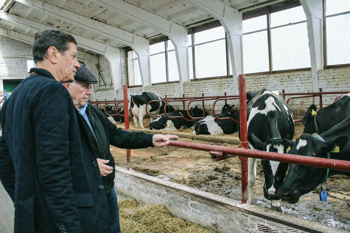 Зампреду Госдумы Жукову показали новосибирский племзавод «Ирмень»: «Красивые, мощные коровы» 