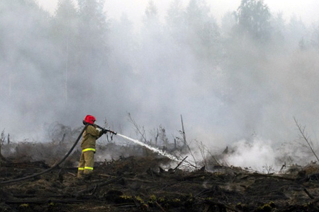 После природных пожаров в Бурятии возбуждено 16 уголовных дел