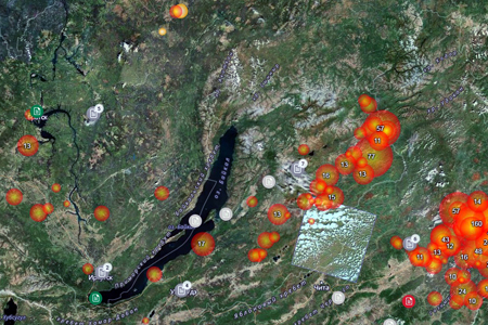 Почти 50 тыс. га леса горит на территории Сибири