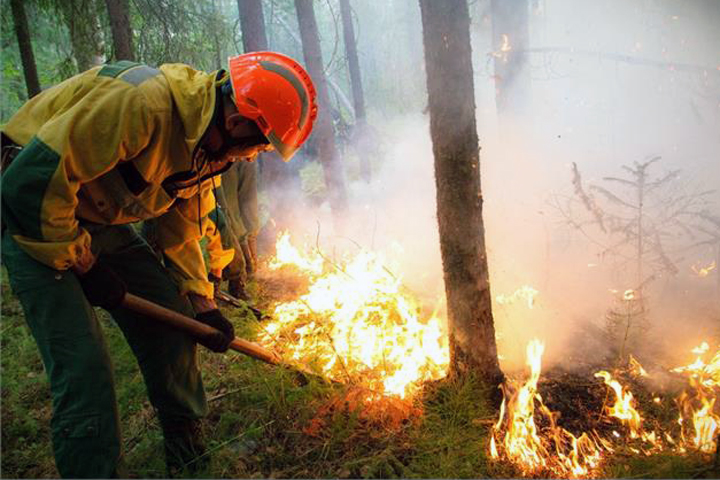 Более 17 тыс. га леса горит в сибирских регионах