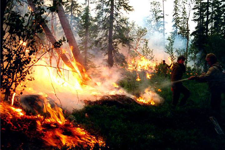 The Washington Post о пожарах в Прибайкалье: У волонтеров своя битва со стихией