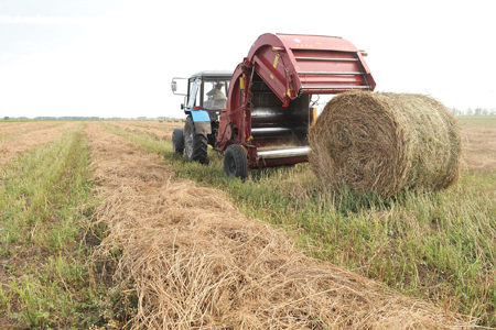 Хозяйства Новосибирской области выполняют планы по заготовке кормов