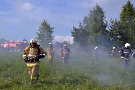 Кировский район Новосибирска и мэр Черногорска оштрафованы за сжигание травы