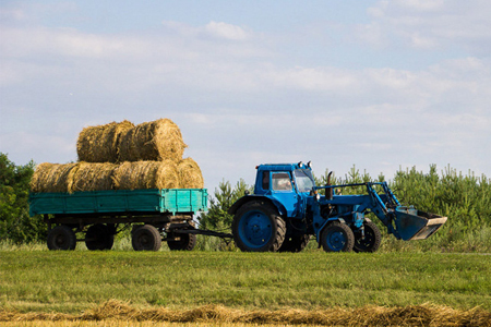 Новосибирский минсельхоз рекомендовал районам ускорить заготовку кормов