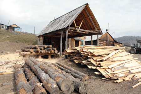 СК не нашел рабов на лесопилке в Иркутской области 