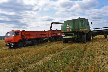 Около 2,4 млн тонн зерновых планируют собрать в Новосибирской области