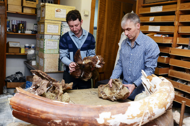 Томские ученые раскопали в Кузбассе новый вид динозавров 