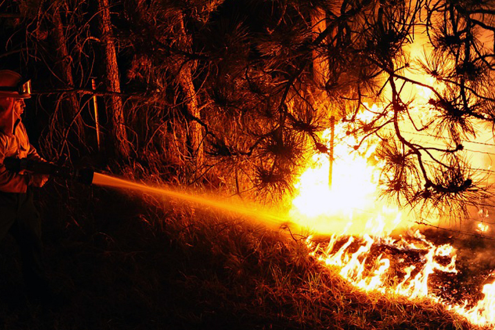 Заключенного иркутской колонии заставляли тушить лесные пожары