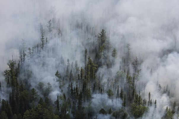 Дым от горящих лесов повис над Томском