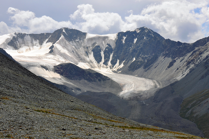 Единственное в мире изображение охоты снежных барсов нашли на скалах Алтая