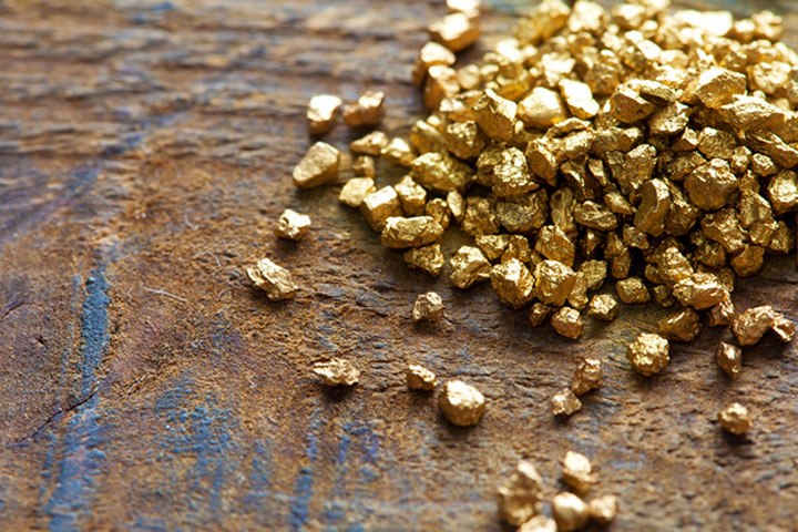 Добыча золота в природном заказнике под Новосибирском обернулась ущербом экологии на 200 млн