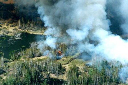 Авиалесоохрана обнародовала данные о 54 тыс. га пожаров в Прибайкалье