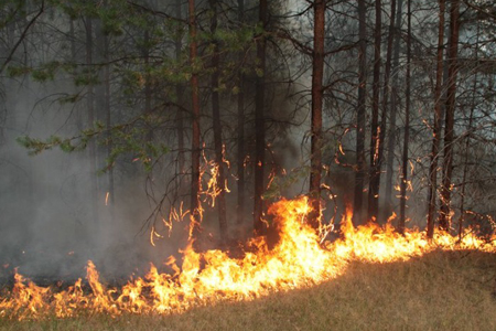Синоптики предупреждают о чрезвычайной пожароопасности в Западной Сибири 