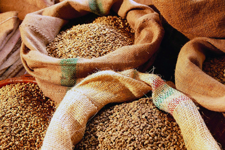 Новосибирская область экспортировала около 1,2 млн тонн зерна