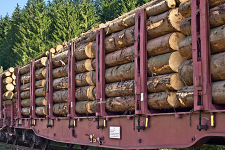 Новосибирский филиал ПГК увеличил объемы перевозок лесных грузов в Китай и Казахстан.