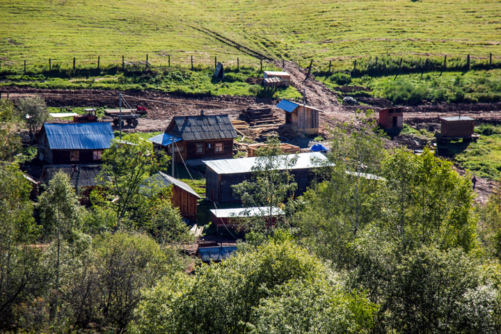 Новосибирские власти сократили программу развития сельского хозяйства на 15%