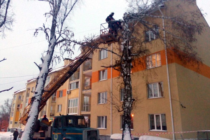 Дерево рухнуло на многоквартирный дом в Новосибирске