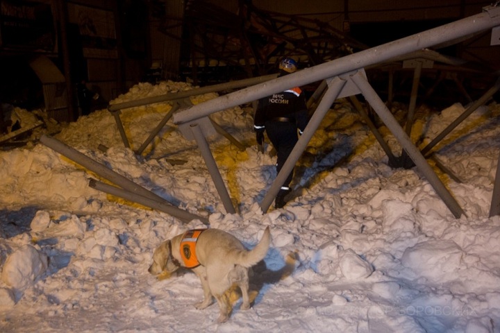 Около 480 тонн снега было на крыше обрушившегося под Бердском манежа конного клуба 