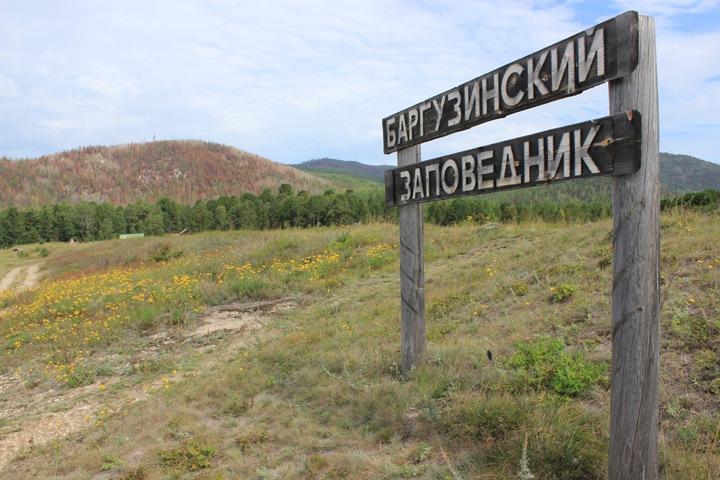 Экологи проведут автопробег по заповедникам от Урала до Байкала 