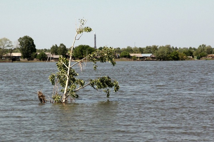 Количество затопленных весной населенных пунктов на Алтае может превысить рекорд 2014 года 