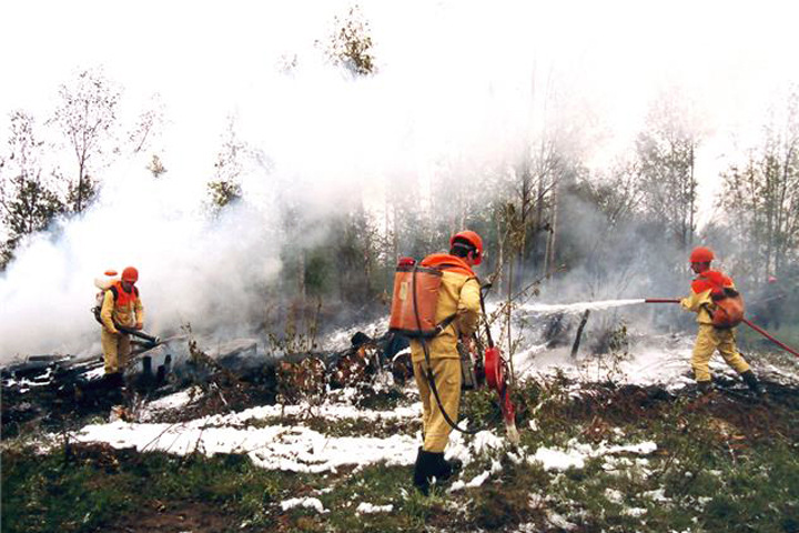 Площадь природных пожаров в Забайкалье продолжила расти