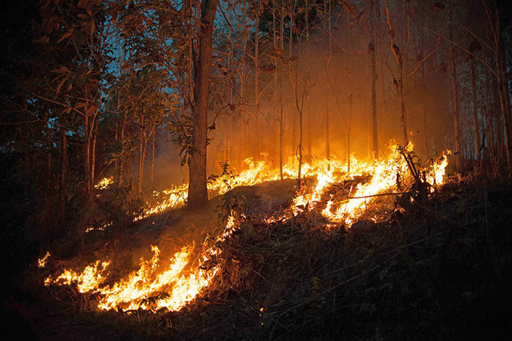Забайкальские власти признали распространение природных пожаров на 1,2 тыс. га