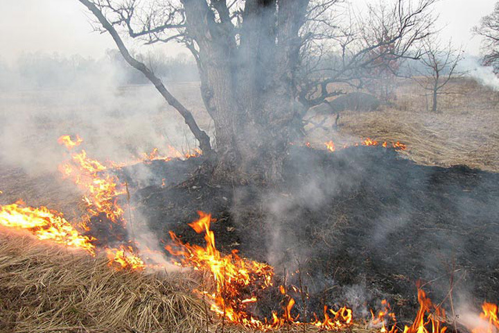 Село эвакуируют в Иркутской области из-за пожаров