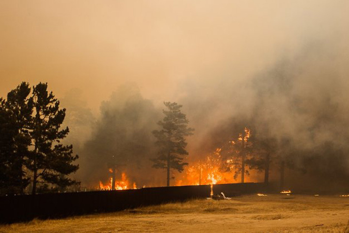 Площадь лесных пожаров растет в Забайкалье