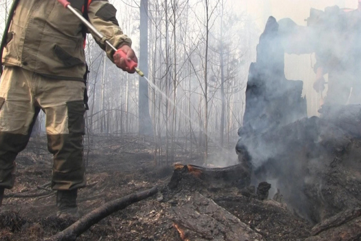 Лесные пожары подобрались в Иркутской области к объектам нефтедобычи