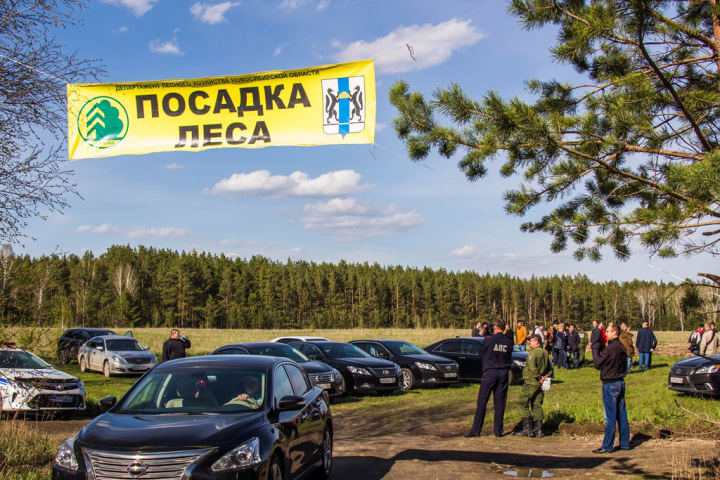 Новосибирское правительство установило предельные цены на машины вице-губернаторов