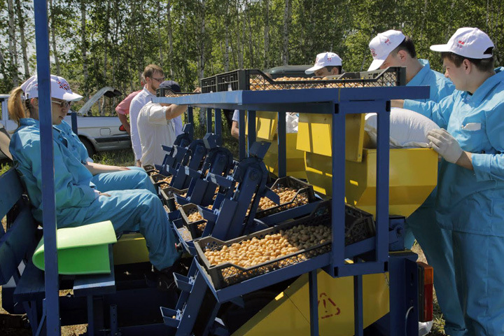 Российско-китайский проект по выращиванию картофеля стартовал в Новосибирской области