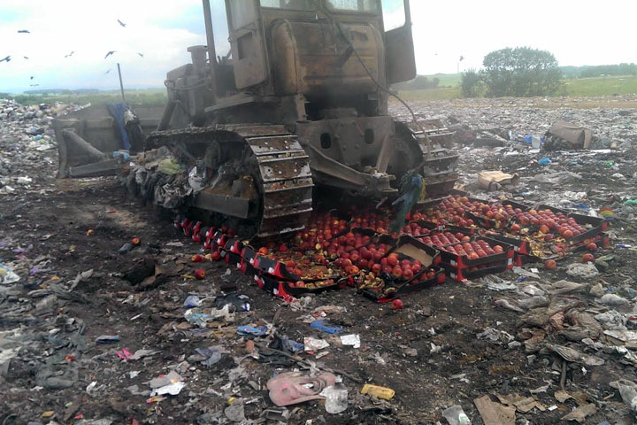 Около 700 кг польских яблок раздавили в Красноярске