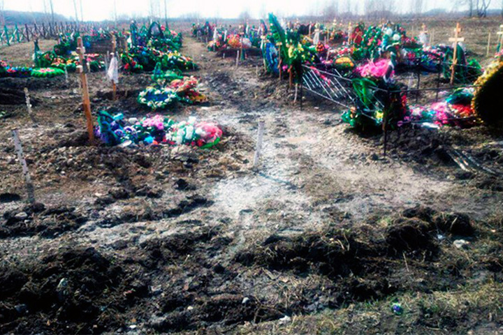 Прокуратура признала новое кладбище Барабинска незаконным